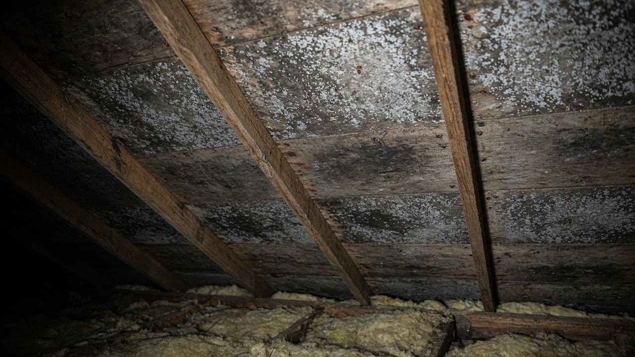 Frost on the underside of roof sheathing in a vented attic